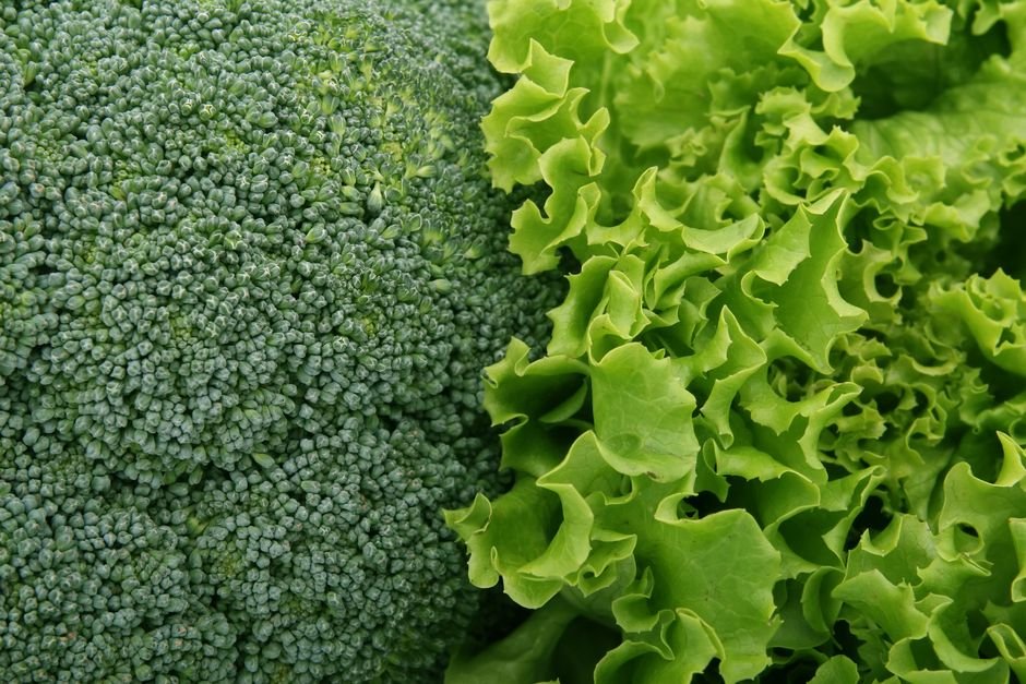 Close-up of fresh broccoli and lettuce leaves showcasing their vibrant green color.